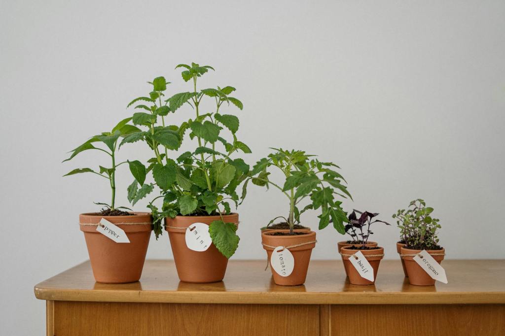 10 Easy Vegetables to Grow in Pots for Beginners (Perfect for Small&nbsp;Spaces!)