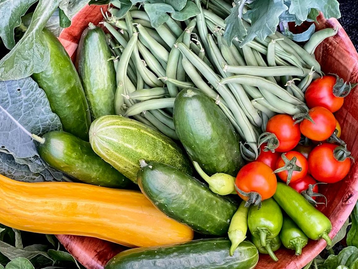 A basket filled with assorted fresh homegrown vegetables including cucumbers, cherry tomatoes, green beans, zucchini, and bell peppers.