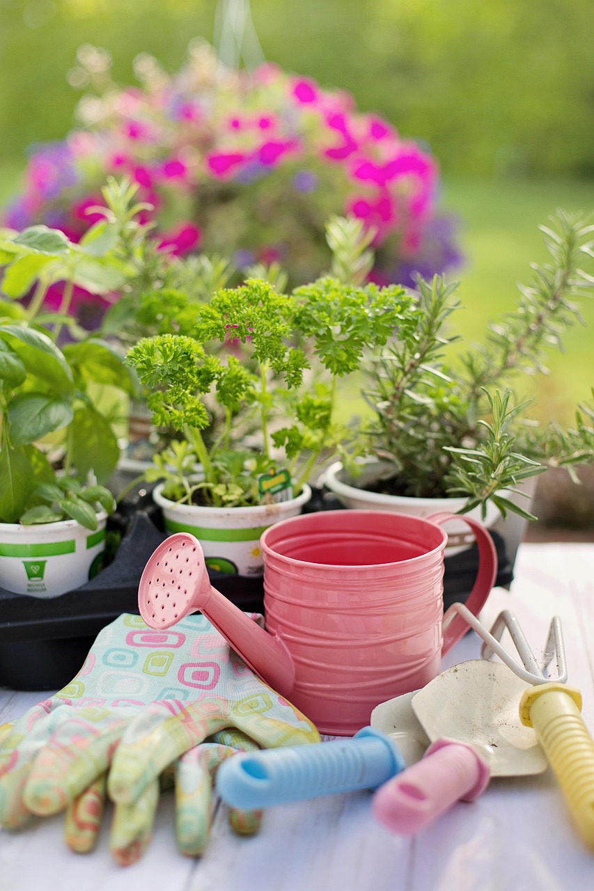 starting a garden, potted plants, garden tools, watering can