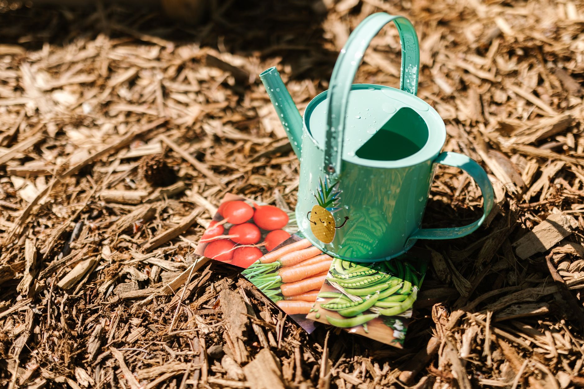 A green watering can on mulch, next to vegetable seed packets featuring tomatoes, carrots, and peas for summer veggie garden.